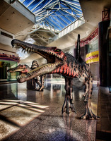 Jurassic Survival Guide