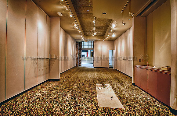 Leopard Carpeting 1