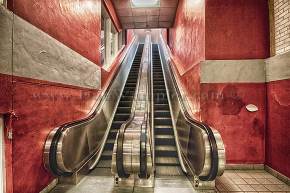 The Red line
