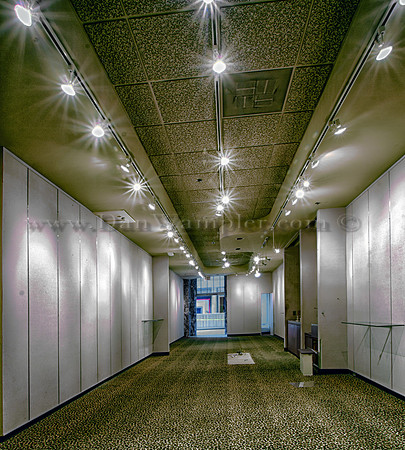 Leopard Carpeting
