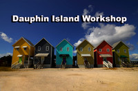 Dauphin Island Workshop