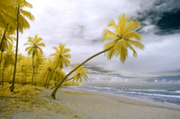 Dominican Republic