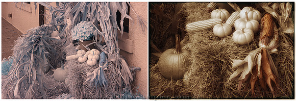 "Welcome to Autumn" Before and after