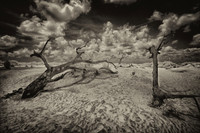Infrared