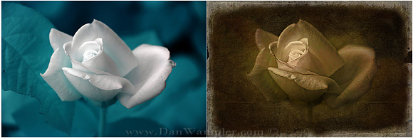Infrared rose at 590nm with a few texture layers.
